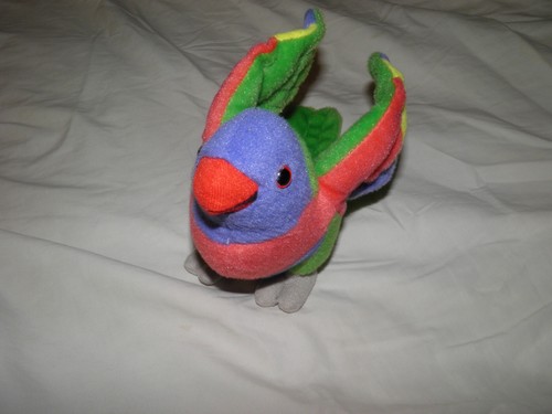Wild republic lorikeet parrot - wild,