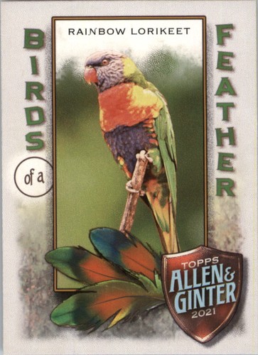 2021 topps allen and ginter - 2021,